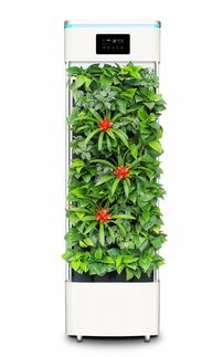 室内植物空气净化器品牌，清新空气，绿色生活