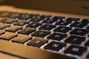 Macbook Pro鼠标品牌指南
