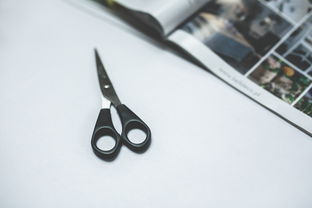 选购与使用品牌厨具剪刀的实用指南