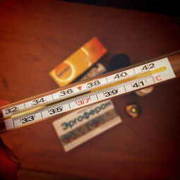 北美品牌温奶器大比拼，哪个好用让你一目了然！