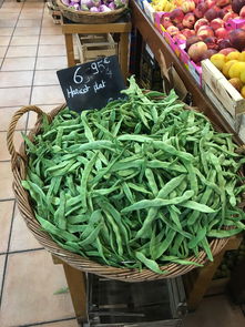 超市蔬菜捆扎机品牌全解析