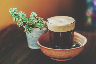 送什么品牌茶叶好？看我一一揭秘