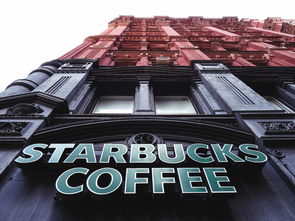全国知名奶茶店品牌大盘点