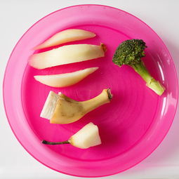 辅食蔬果榨汁机推荐品牌，呵护宝宝健康，从每一口开始