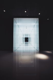 国产手机品牌市场的现状与未来展望