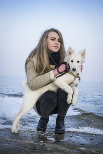 揭秘专业狗狗沐浴露品牌，呵护爱犬肌肤，让它们焕发健康光彩