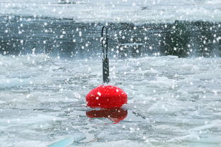 雪雨卫浴品牌实力分析