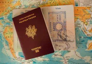 嘉兴品牌电动牙刷的注册证之旅