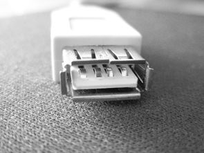 挑选牙刷的7个关键因素