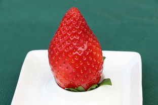 西安哪个品牌蛋糕好吃？我来告诉你！