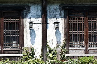 江油古建门窗品牌店