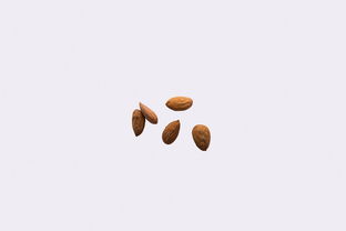 全球杏仁坚果品牌排行一览