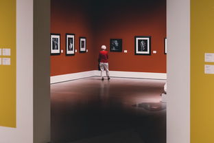 吊顶市场中的二级品牌风采展现