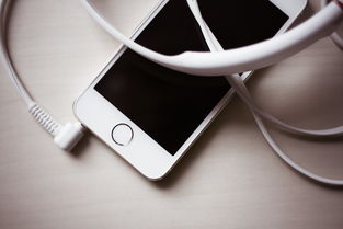 iPhone 5s手机套品牌精选