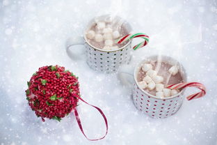 雪韵飘香，奶茶品牌雪皇后的传奇之旅