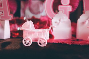 幼教品牌活动，打造儿童成长的快乐天地