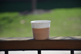 广州户外过滤水杯品牌大盘点，你的户外探险好伴侣！