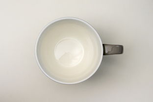 RL陶瓷餐具品牌，品质之选，时尚之典范
