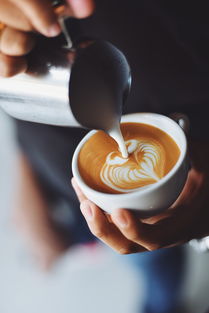 哪个省的本土奶茶品牌最多？探秘中国奶茶市场热门区域