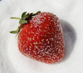 盘点性价比高的草莓零食品牌，让你轻松享受美味又实惠的草莓时光！