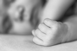 婴儿奶嘴双s品牌全面解析
