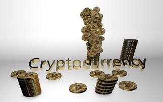 探索门锁五金国际品牌的世界
