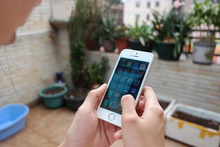 探索iPhone 5S手机壳的多样化选择