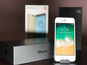 探索iPhone 5S手机壳的多样化选择