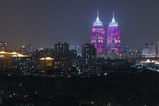 上海中餐品牌的魅力之旅，从餐桌看城市繁华