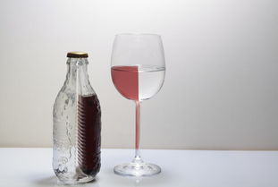 平价透明唇彩品牌大比拼