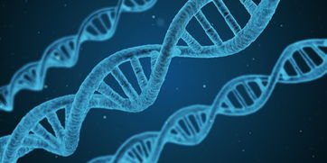 揭秘Lester生物测量仪，精准医疗的得力助手