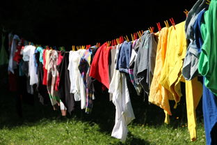 山西服装电商品牌排行，探寻晋商服饰电商的崛起之路
