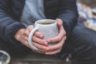 英德红茶品牌茶叶详解，品味经典，感受独特魅力