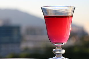 办公室里最受欢迎的水杯品牌揭秘！