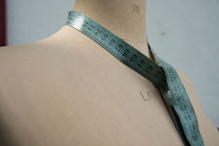 舒服文胸内衣推荐品牌大解密，你值得拥有的舒适之选！