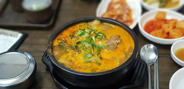 韩国辅食机品牌大盘点，热门型号及使用案例