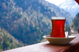 茶叶铲子品牌大盘点，谁才是你的茶艺好帮手？
