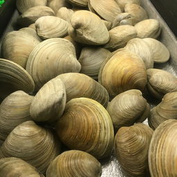 探寻美味海洋，盘点那些好吃的海鲜即食零食品牌！