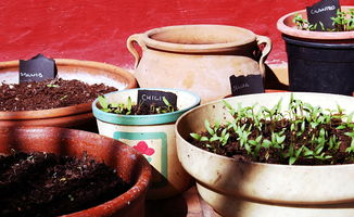 中国普洱茶叶品牌深度解析