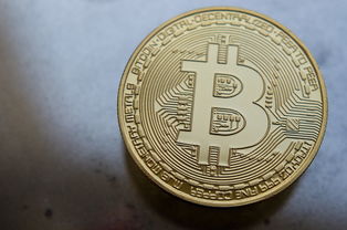 两三百元价位下的优质相机品牌推荐