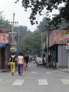 无品牌奶茶店的生存之道，从街头小巷到茶饮新风尚的崛起之路