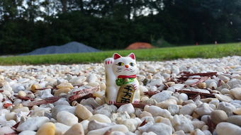揭秘日本毛绒玩具品牌排行，这些萌物你值得拥有！