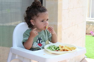 揭秘婴幼儿辅食机品牌前十名，为宝宝的健康饮食保驾护航！
