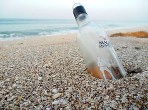 揭秘水杯夏品牌—夏日清凉，从一杯好水开始