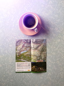 旅行品牌水杯价格大揭秘，一套水杯多少钱？