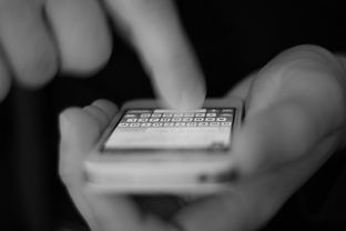 手机硬盘品牌大比拼——性能、价格与用户体验全解析