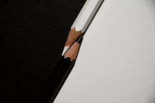 硒鼓12a品牌精选与推荐