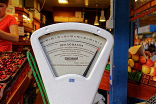 全球手机市场的主要品牌概览