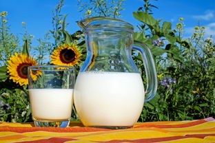 夏日炎炎，这些快乐水杯品牌让你清凉一夏！