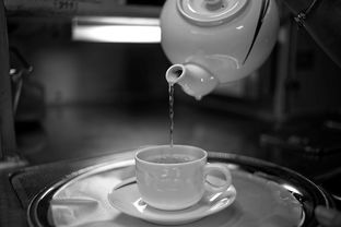 车载热水杯品牌大盘点，保温保热，出行好伴侣！